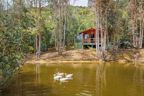 Glamping Experience Savieza