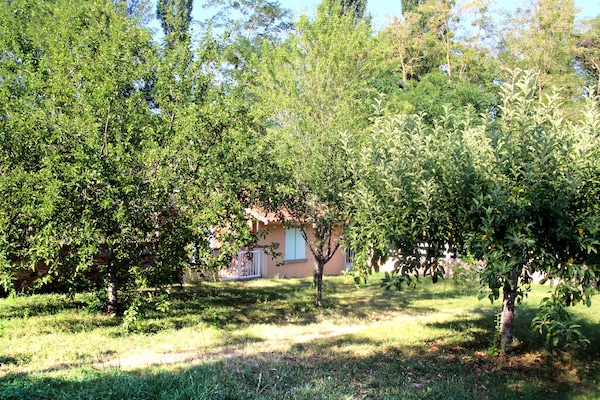 Terrein van de accommodatie