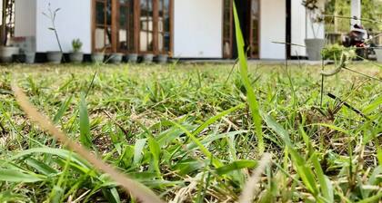 Lucky’s Place by the Paddy Field
