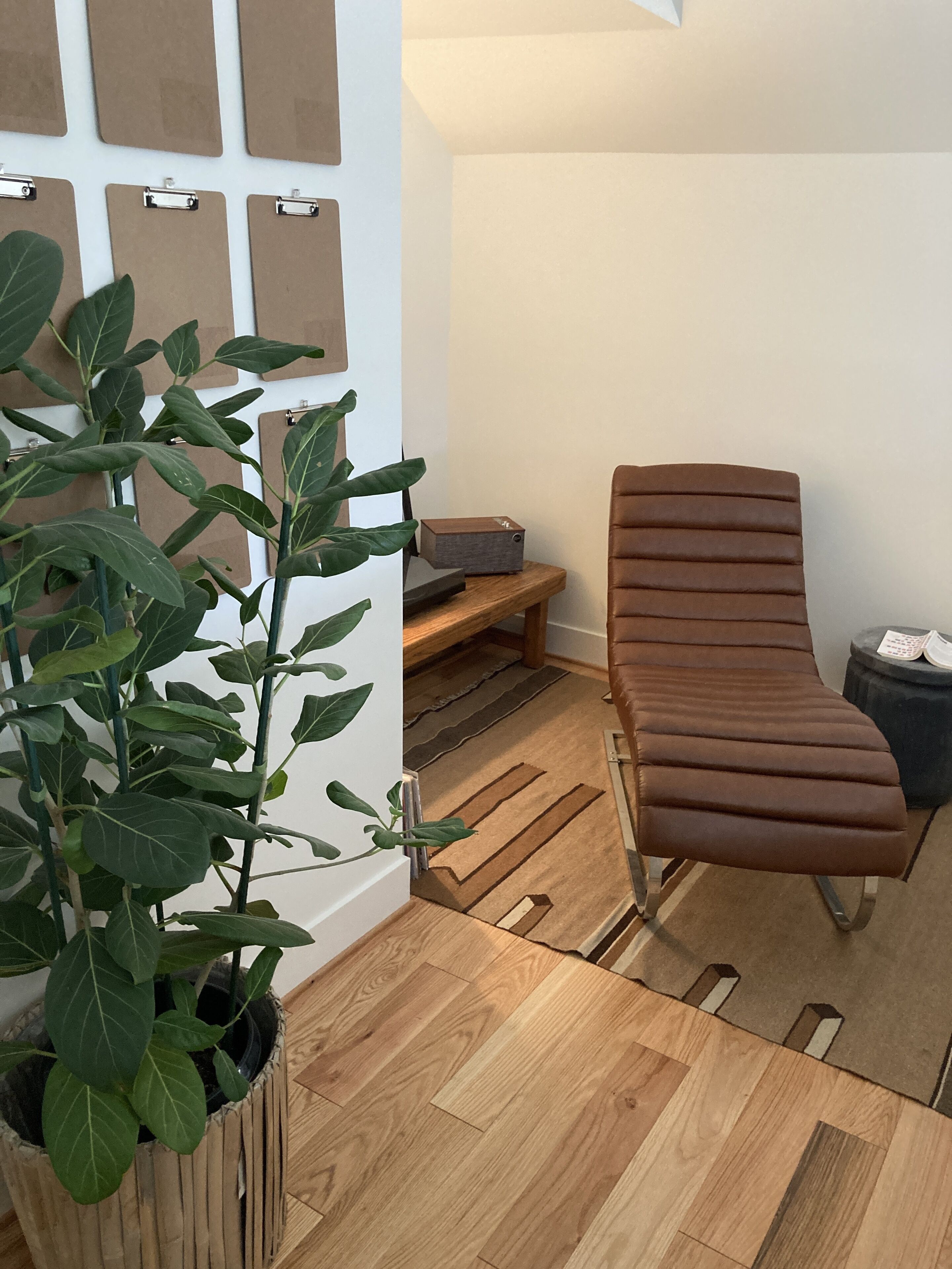 Une pièce avec un fauteuil en cuir marron, une plante en pot et un mur recouvert de plusieurs panneaux de liège.
