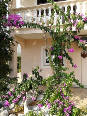 Lägenhet (Ani - 250m from beach - A1(2)) | Exteriör