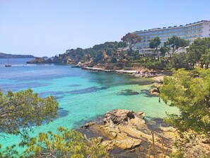 Beach - A3014 Ferienwohnung Cala Fornells (Paguera-Cala Fornells)