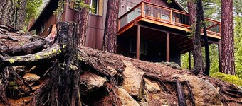 Cozy Cabin in the woods.