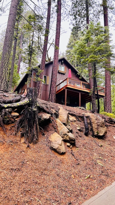 Cozy Cabin in the woods.