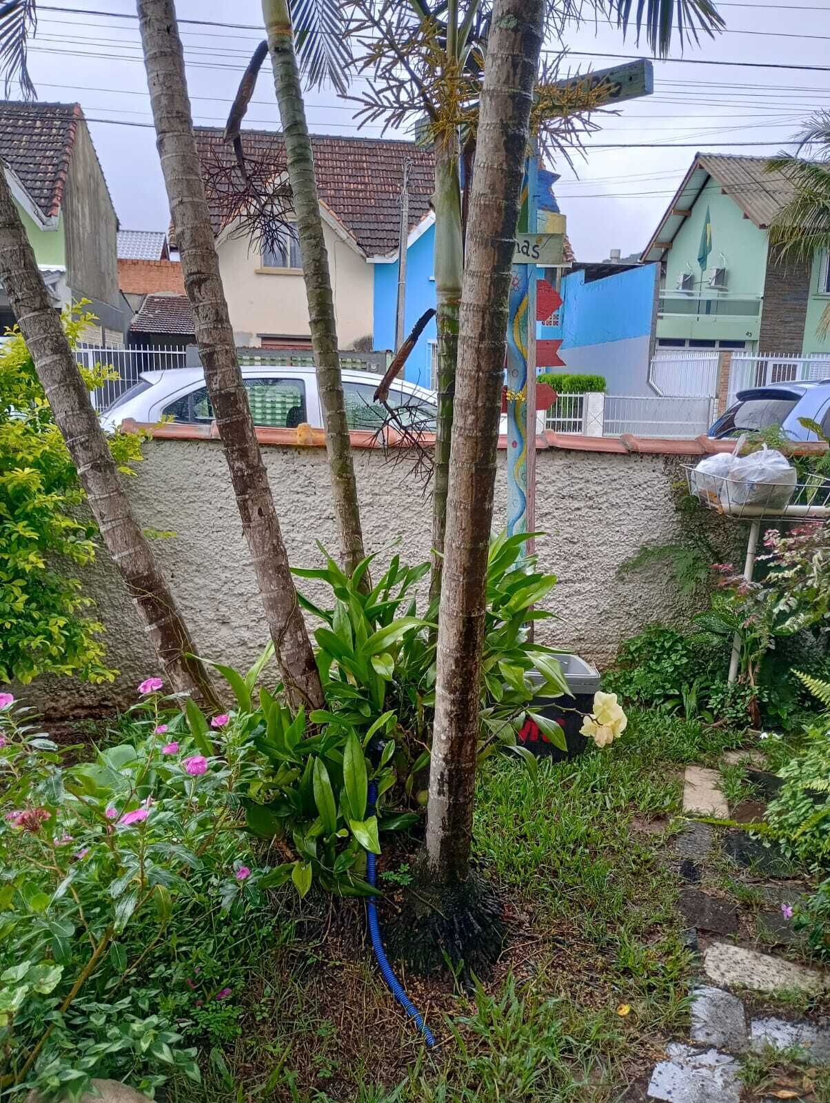 Foto - Casa Hostel Mosaicos DyA