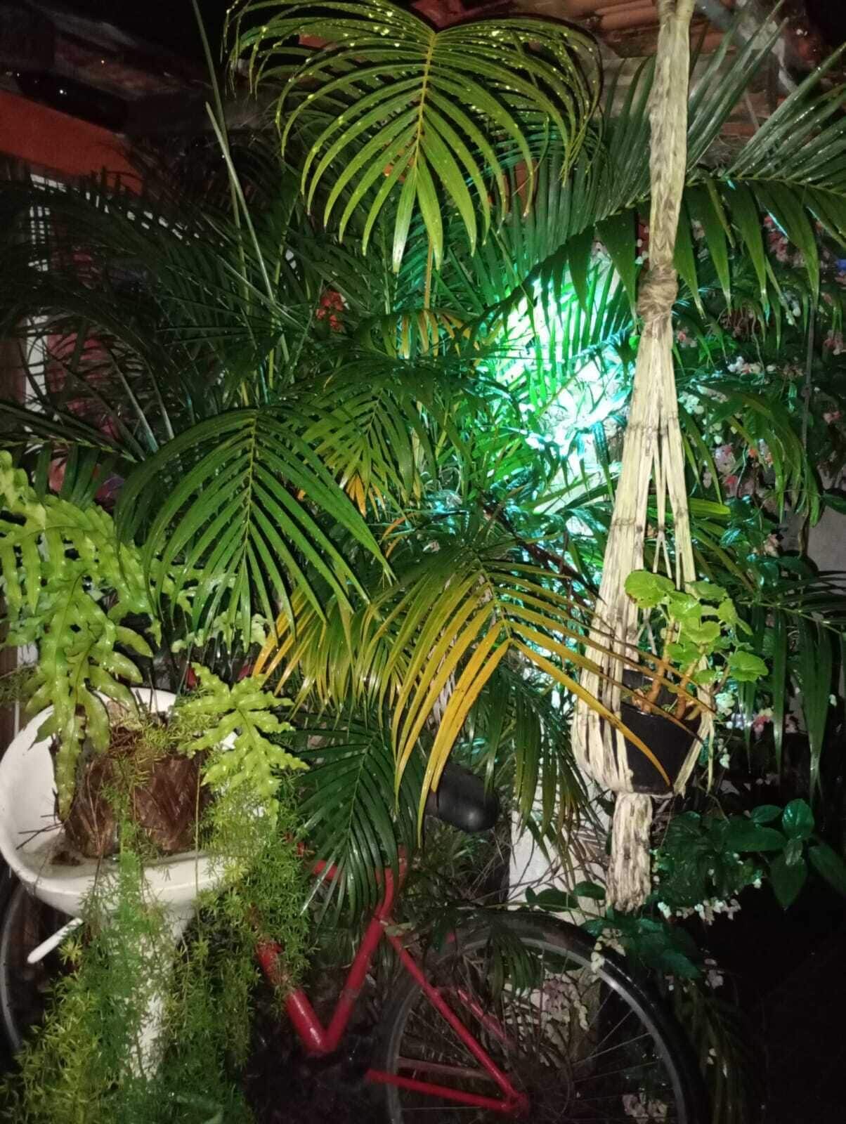 Foto - Casa Hostel Mosaicos DyA