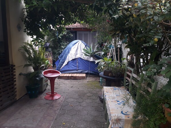 Un pequeño jardín amurallado con una carpa azul y blanca, plantas en macetas y una silla roja.