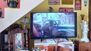 A living room with a TV, plants, and various decorations. - Casa Hostel Mosaicos DyA (Florianópolis)