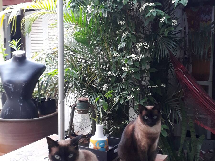 Terassi/patio