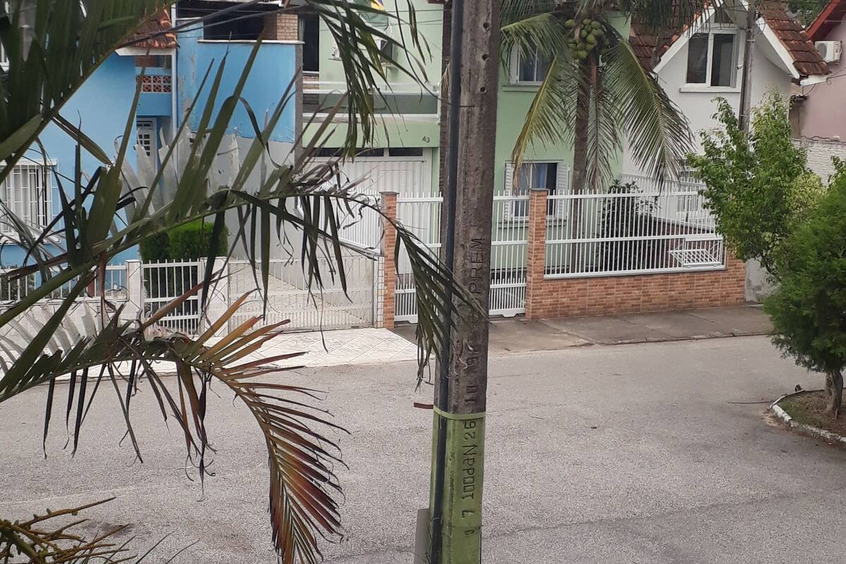 A residential street with houses, a palm tree, and a utility pole.