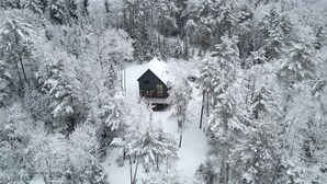 Una cabaña rodeada de árboles cubiertos de nieve.