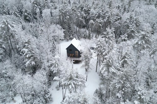 Cozy, sun filled mountain retreat w/45 private acres, hot tub, gym, car charger!