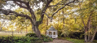 The Missing Pines Bungalow - King Suite in the heart of OS!