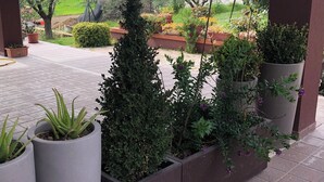 Un espacio al aire libre cubierto, con plantas en macetas y vistas a un jardín ajardinado.