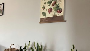 Una pared con una ilustración botánica y cuatro plantas en macetas sobre un estante de madera.