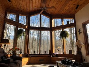 Interior - Panthers Inn. (Makanda)