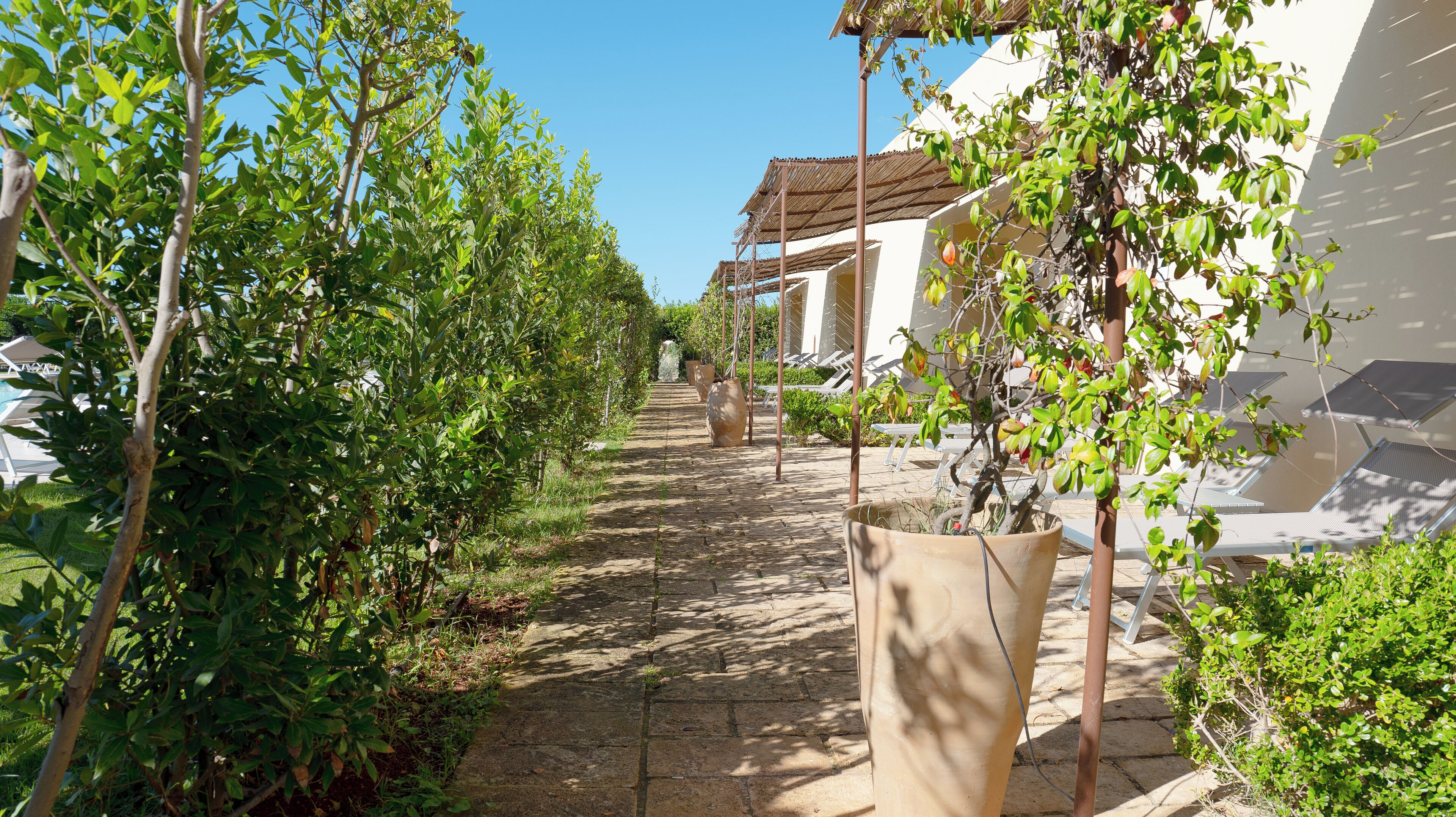 A pathway lined with trees and potted plants leading to a building with a tiled roof.