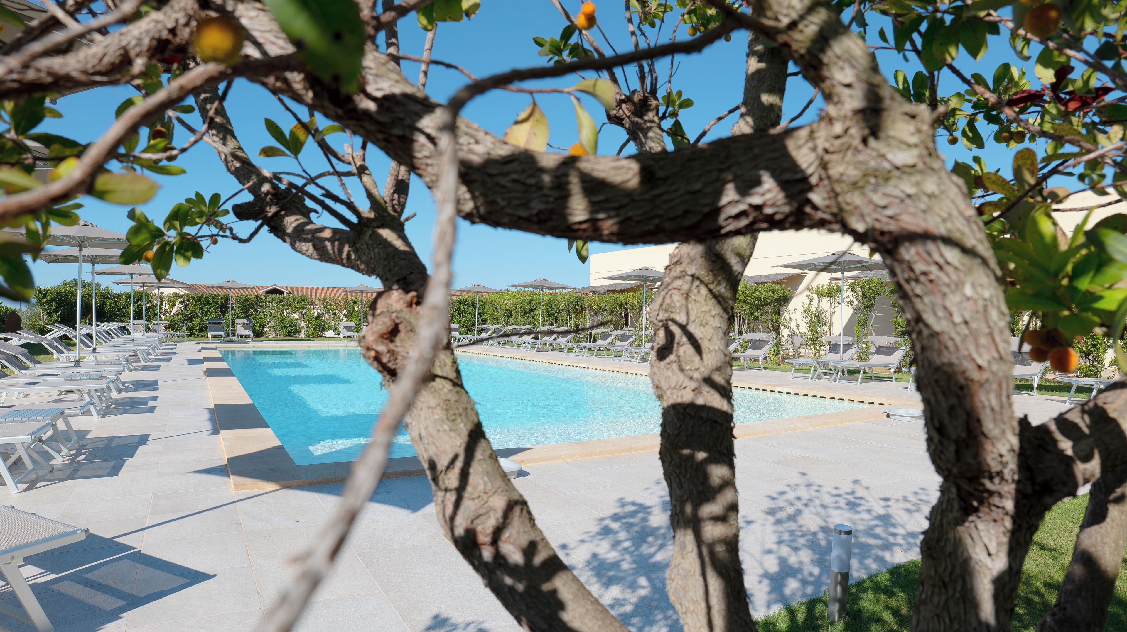 Zona de piscina con sillas de descanso y sombrillas, rodeada de árboles y un edificio al fondo.