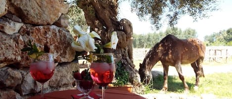 Una mesa servida con copas de vino y una planta en maceta, un muro de piedra y un caballo pastando al fondo.