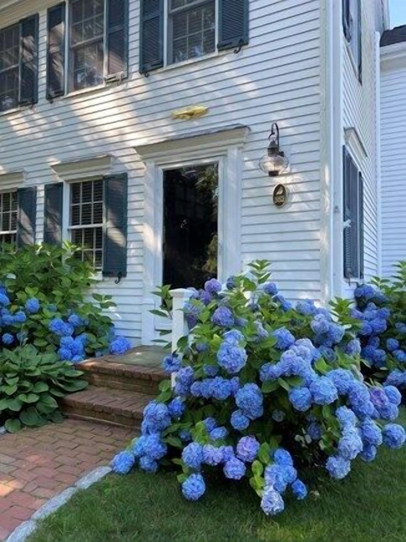 Quintessential colonial with amazing natural light throughout, cathedral ceilings, and ample room to both spread out and entertain.