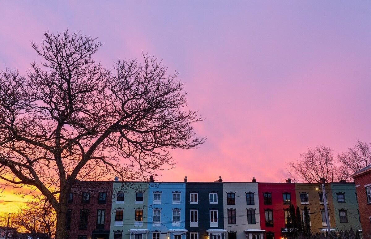 3 Story Historic Landmark - Walk to All! West End, Dog-Friendly, 2 King Beds
