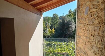 Casa do Faval. Quinta com Piscina à Beira-rio