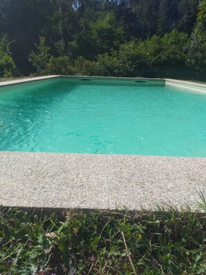 A rectangular swimming pool with clear turquoise water, surrounded by a concrete deck and lush greenery.