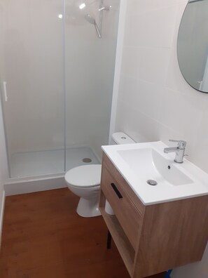Shower, hair dryer, towels, soap - Appartement 1er Étage Escalier Ext. Endroit Silencieux Bordure D'un Bois (Labécède-Lauragais)