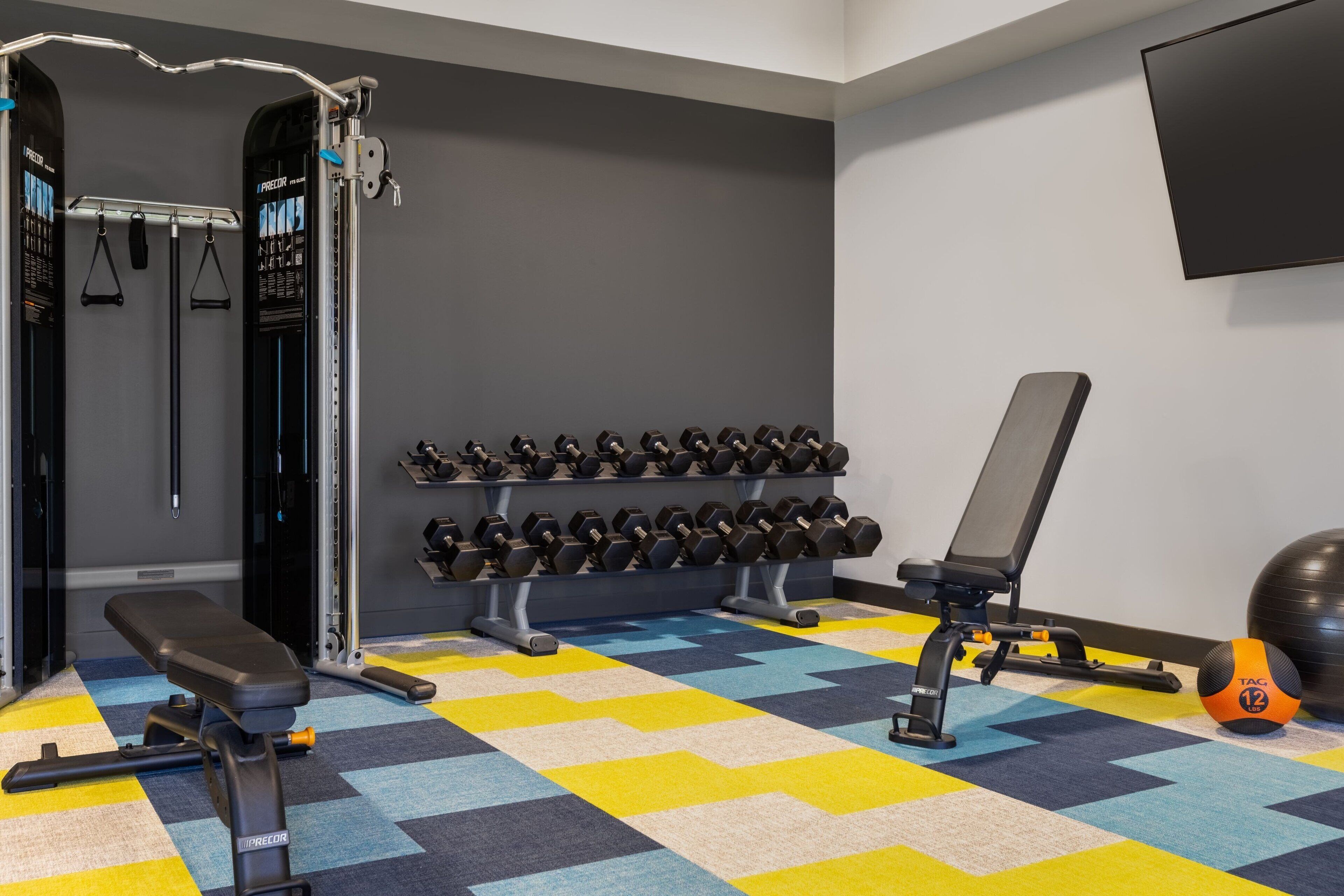 A gym with a bench, dumbbells, and exercise equipment.
