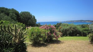 Un jardín con cactus y plantas en flor, un área con césped y vista al mar y colinas de fondo.
