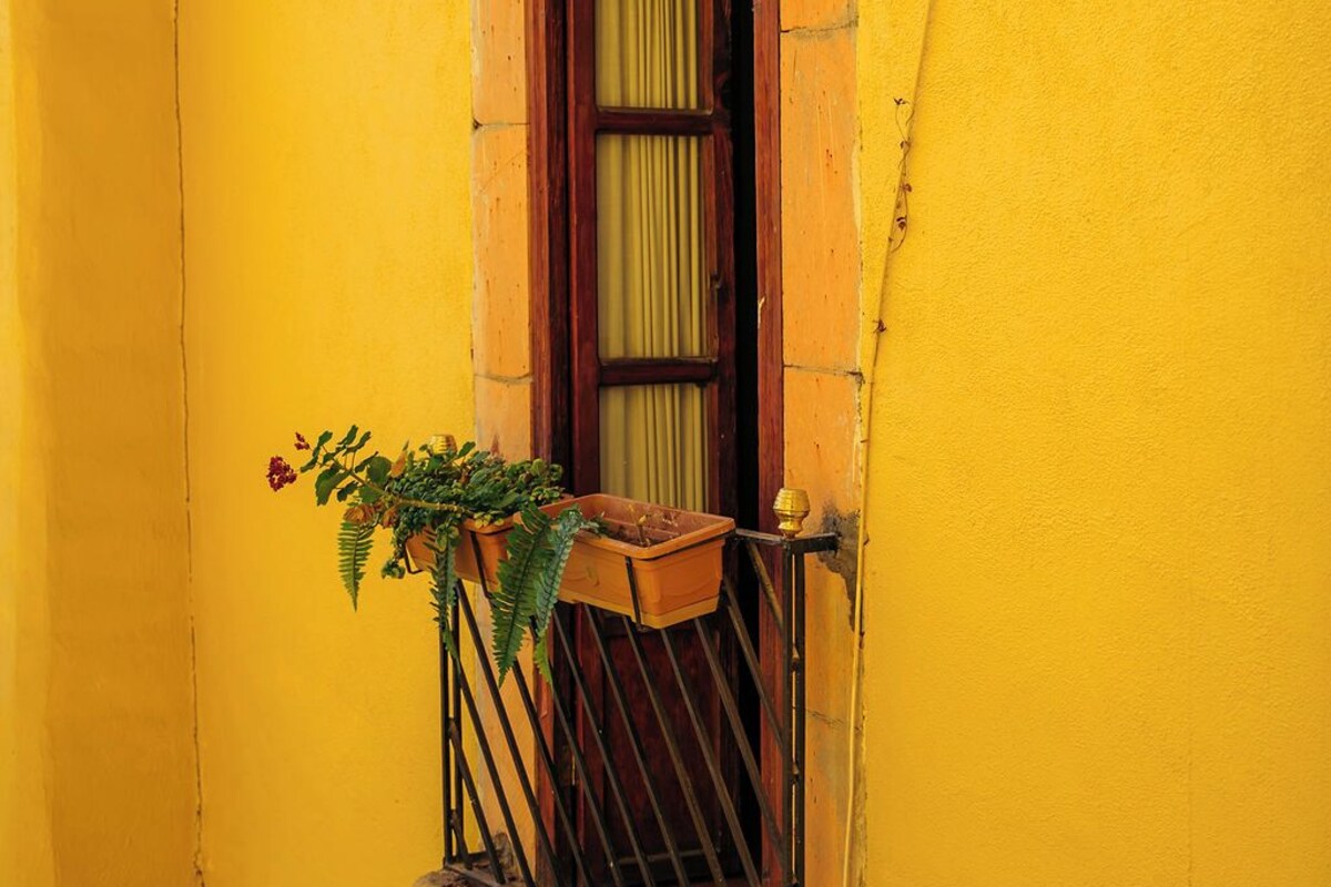 Un edificio amarillo con una ventana que tiene un persiano de madera y un pequeño balcón con una planta en maceta.