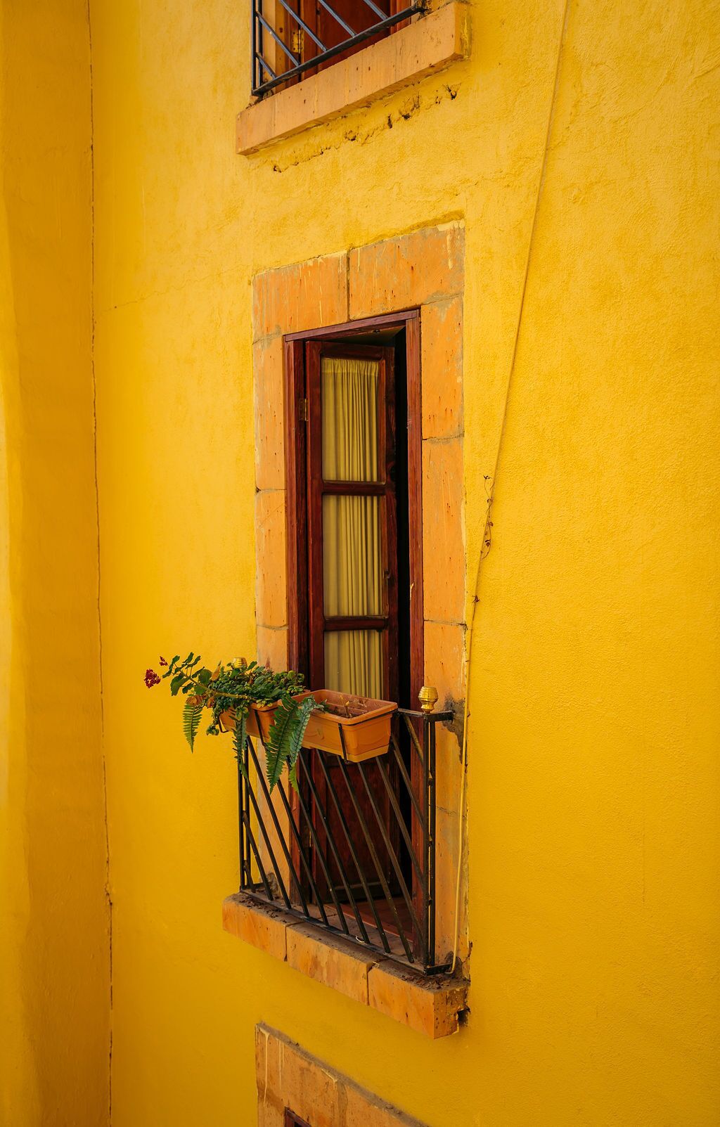 Foto - Hotel Casa Santa Lucia