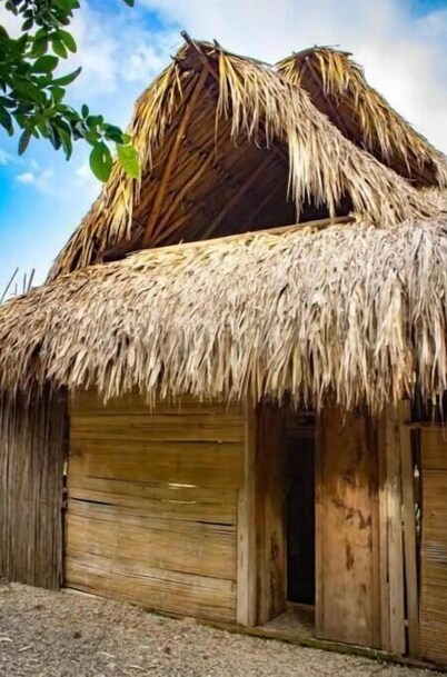 Bungalows Suite 6