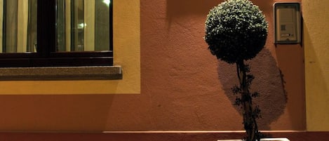 A potted tree next to a wall with a sign that reads 'FortyFive Hotel in Chivasso.'