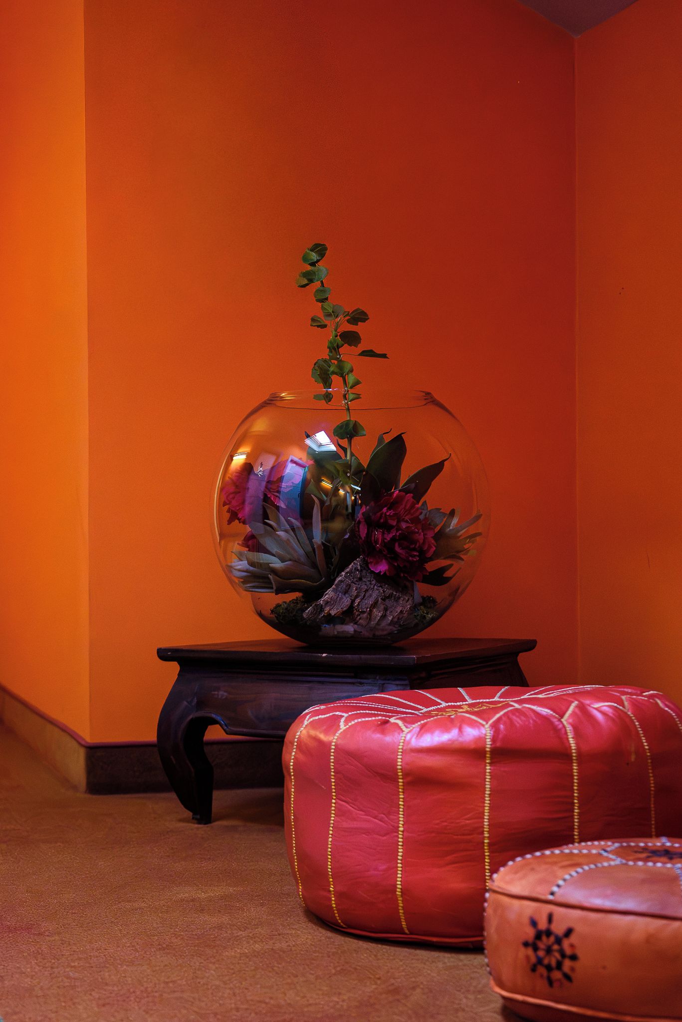 Una stanza con un acquario in vetro trasparente contenente piante e fiori, posato su un supporto in legno.