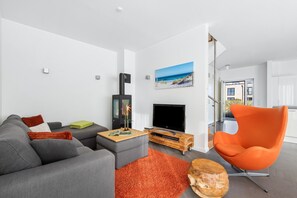 TV, fireplace, books