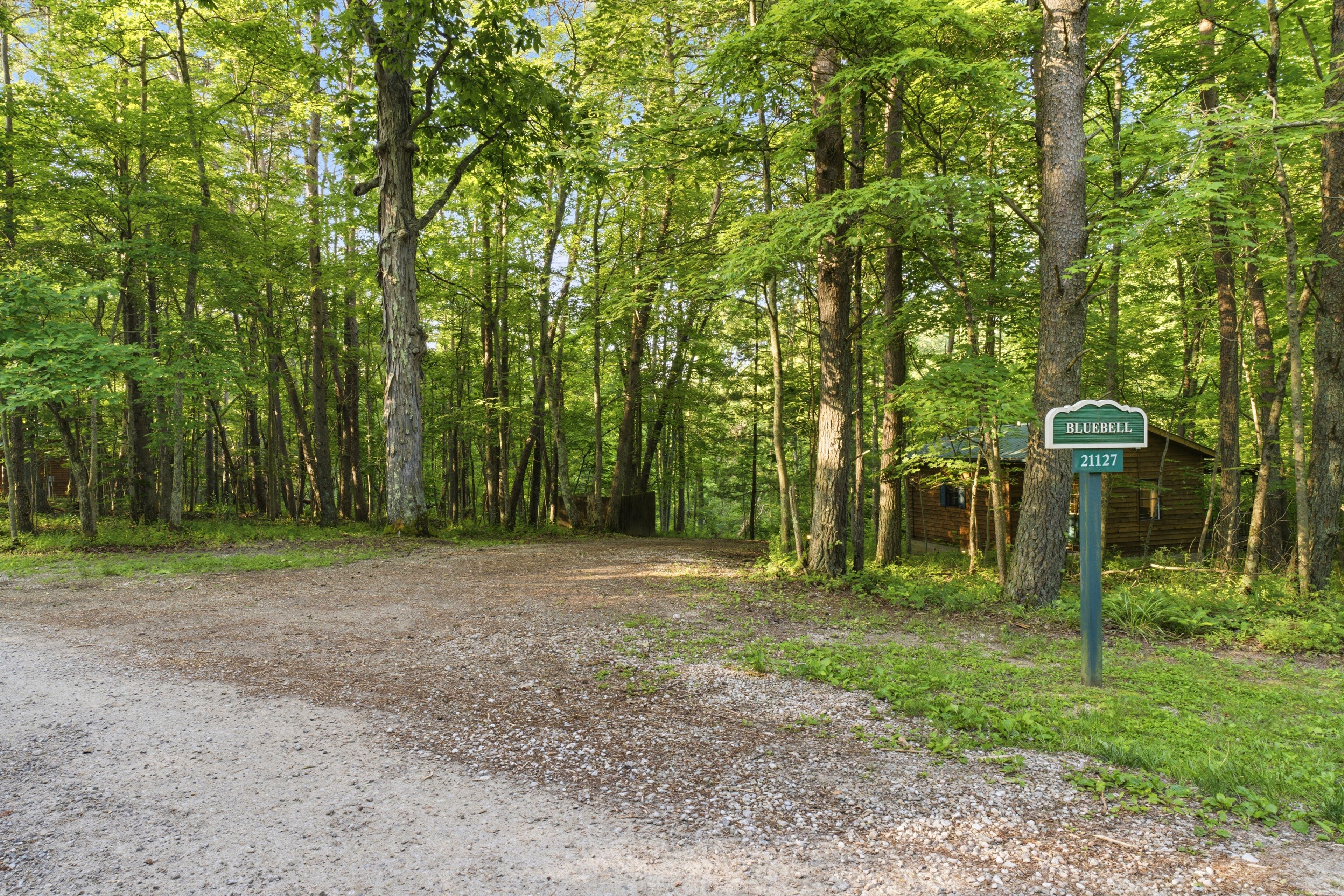 Een bebost gebied met een grindpad dat naar een chalet leidt, aangeduid met 'BLUEBELL 21127'.