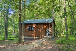 Une petite cabane en bois, entourée d’une forêt.