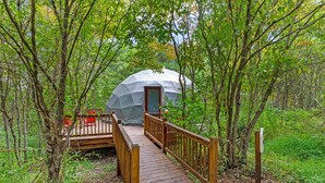 Une structure en forme de dôme géodésique, avec une terrasse en bois menant à l’intérieur, le tout entouré d’arbres.