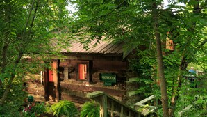 Eine rustikale Holzdiele mit Veranda, umgeben von üppigem Grün.