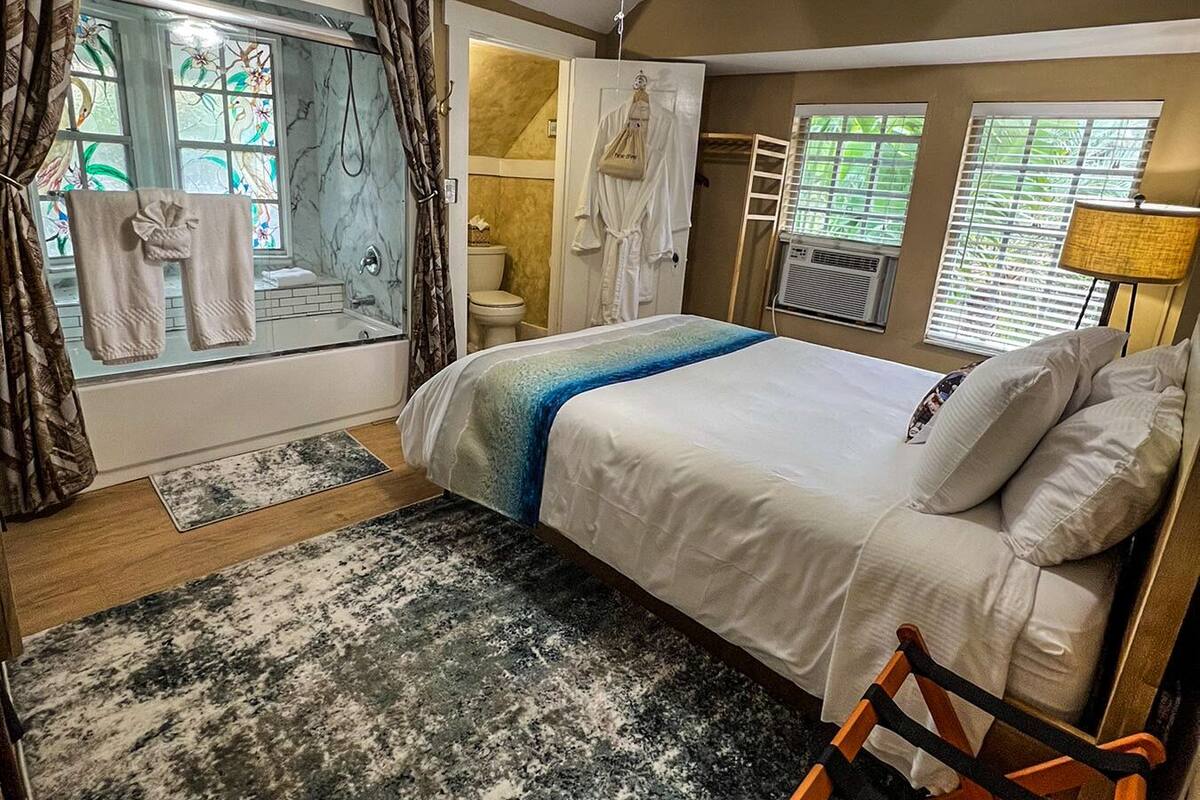 Une chambre avec un lit, un ventilateur de plafond, une fenêtre avec des rideaux, une salle de bain avec une douche et une vue sur l’extérieur.
