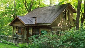 Eine rustikale Holzhütte mit Metallverkleidung, umgeben von dichtem Wald.