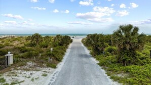 A paved pathway leading to a beach, surrounded by greenery and palm trees. - Ocean Club 37 (St. Augustine)
