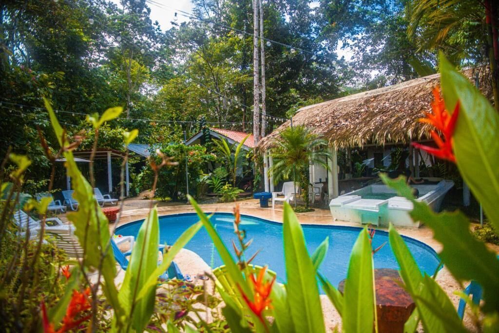 Area piscina con lettini, una struttura con tetto di paglia e vegetazione lussureggiante.