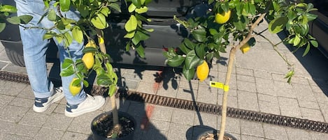 住宿场地