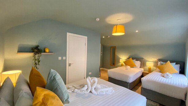 Habitación de hotel con dos camas, una puerta, un espejo y un estante con plantas.
