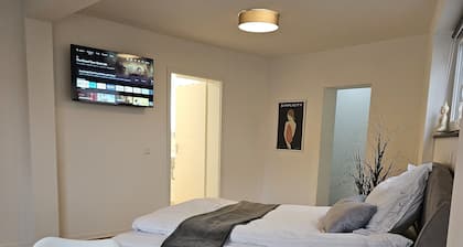 Die Alte Apotheke / Apartment Nr.2 / Das "labor"
