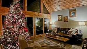 Smart TV, fireplace, books, stereo