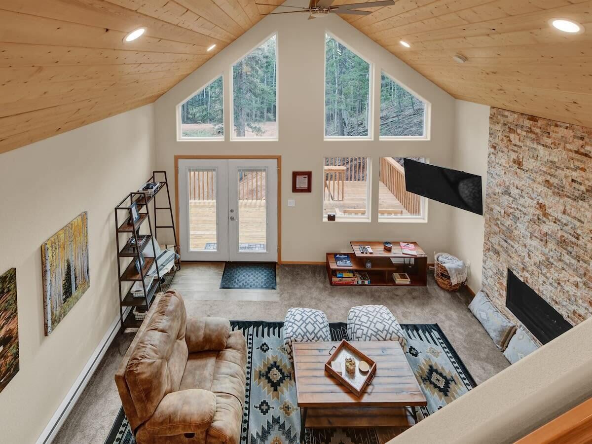 TV, fireplace, books