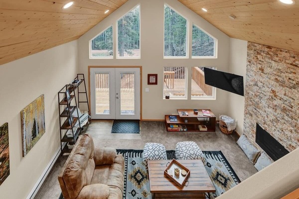 TV, fireplace, books